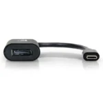 Port USB-C to Display Port Adapter