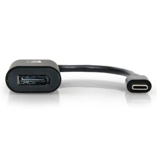Port USB-C to Display Port Adapter