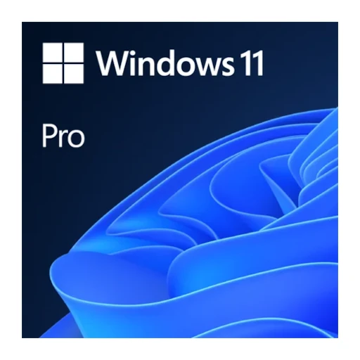 WIN 11 PRO 64BIT ENG 1PK DSP DVD