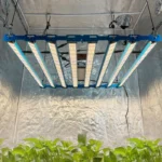 Kingbrite P55 800W BAR Grow Light with UV+IR |Samsung LM281B