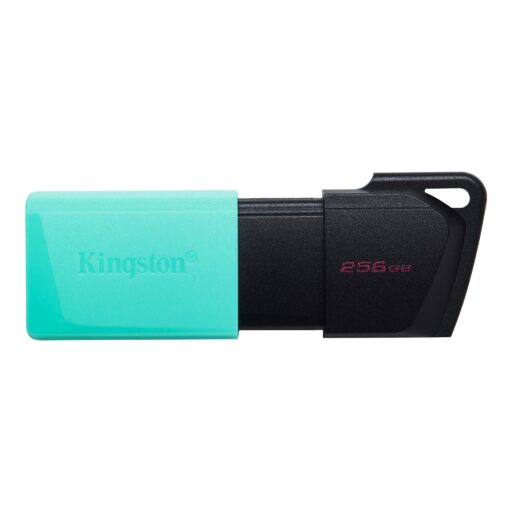 Kingston 256GB USB3.2 Gen1 DataTraveler Exodia M (Black + Te