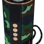 H13 BLACK + BROWN BLUETOOTH/USB/FM/M-SD