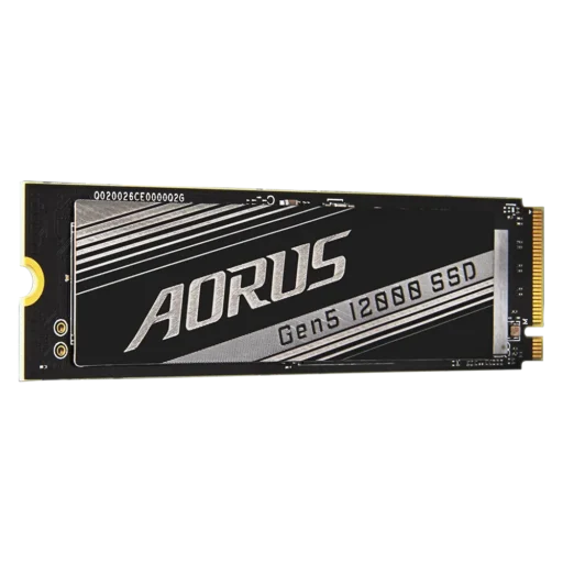 Gigabyte AORUS Gen5 12000 SSD 1TB read 11