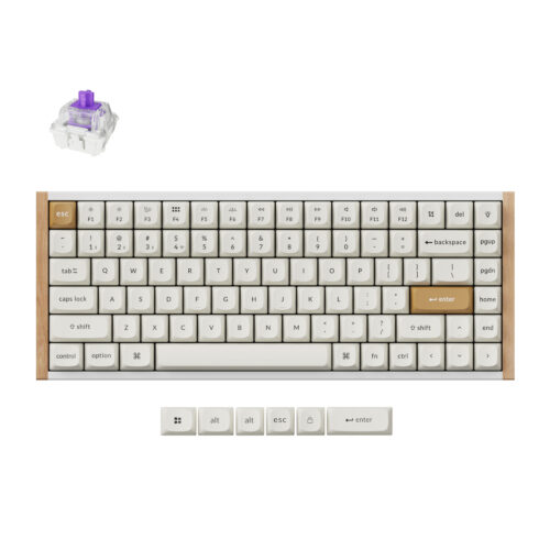 Keychron K2 HE Wireless Special Edition Magnetic Custom Keyboard | NEBULA Switch ? White