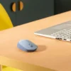M171 WIRELESS MOUSE (BLUE/GREY