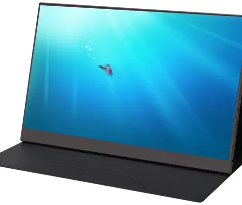 MECER 15.6-inch IPS FHD USB Mo