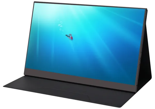 MECER 15.6-inch IPS FHD USB Mo