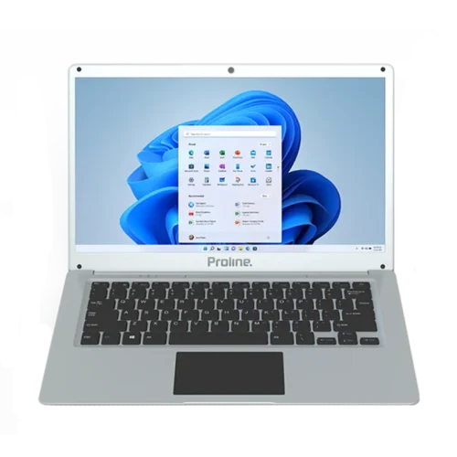 Proline V146 14" Celeron 8GB 256GB Win 11 Home Silver Notebook