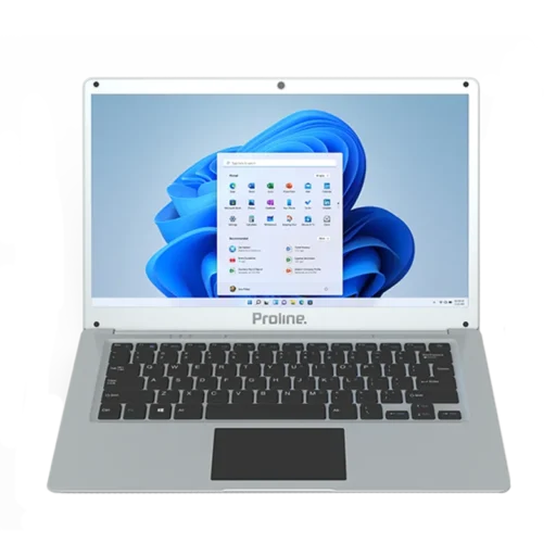 Proline V146 14" Celeron 8GB 256GB Win 11 Home Silver Notebook