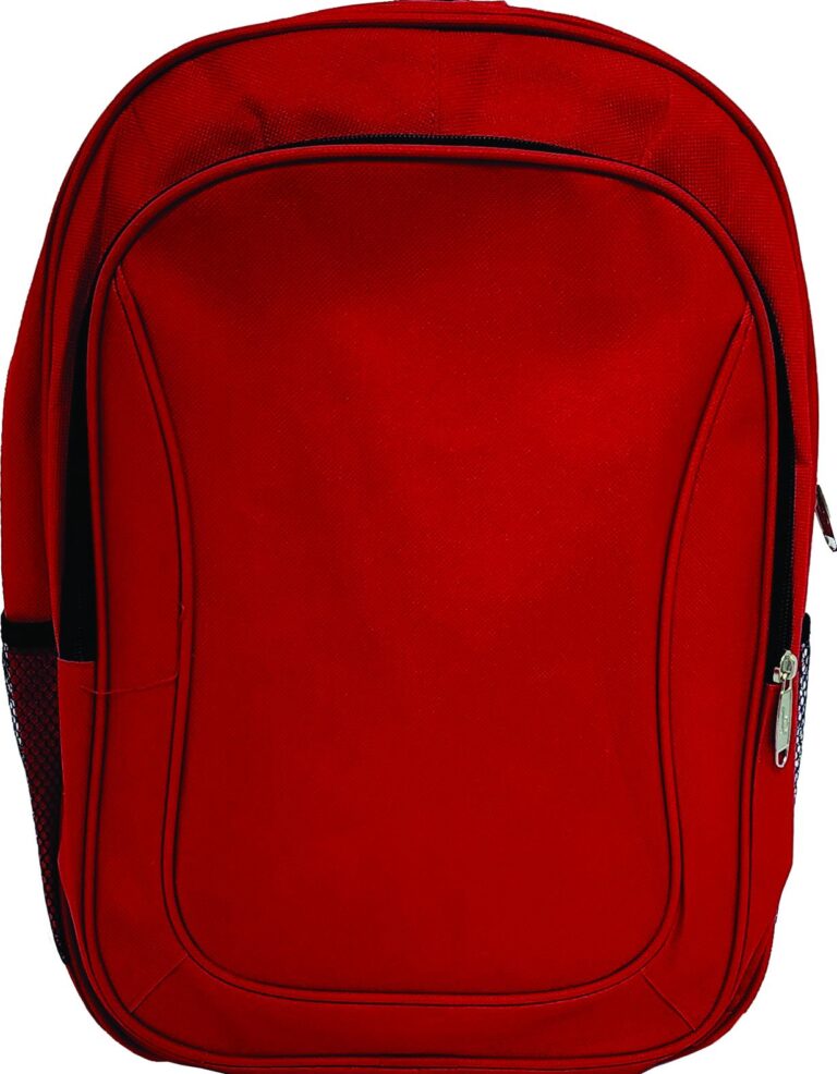 SCHOOL BAG