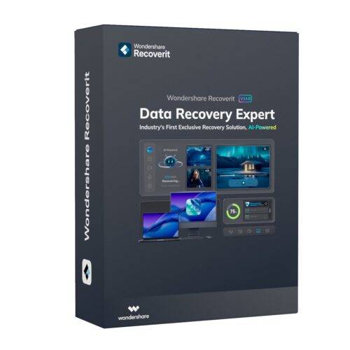 Wondershare Recoverit Data Recovery Expert for Windows Indiv