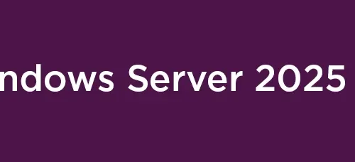 Windows Server 2025 Remote Desktop Services Client Access Li