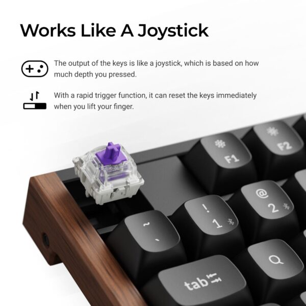 Keychron K10 HE 100% Wireless Magnetic Gaming Keyboard Nebul