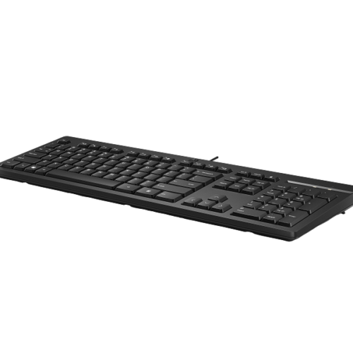 AY2Y7AA_default.png HP 125 G2 USB Wired Keyboard EURO