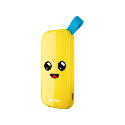 SDSSDE30_1T00_G25F_1ea4.jpg SanDisk Fortnite Portable SSD 1TB