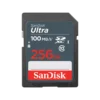 SD CL10: 256GB