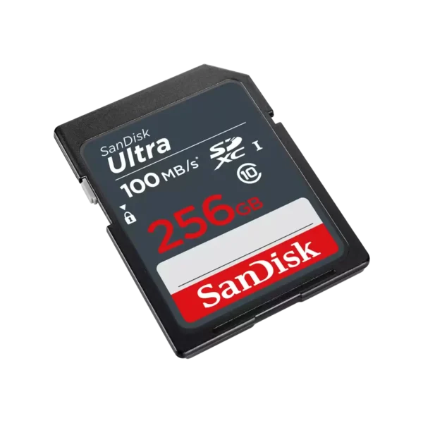 SD CL10: 256GB