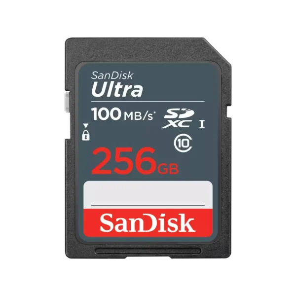 SD CL10: 256GB