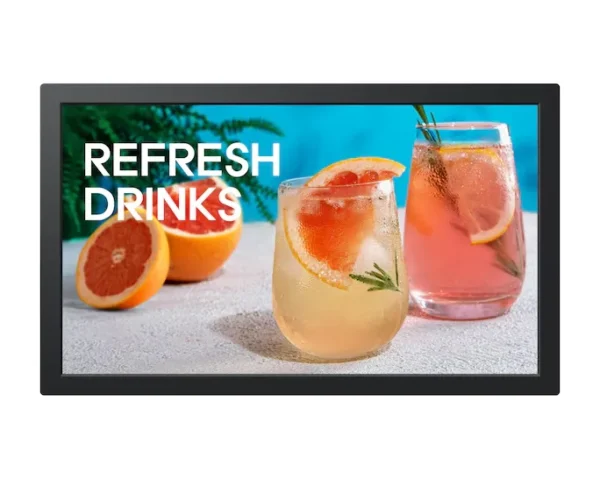 SAMSUNG 13-inch PROFESSIONAL DISPLAY